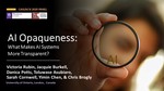 AI Opaqueness: What Makes AI Systems More Transparent? (Panel)